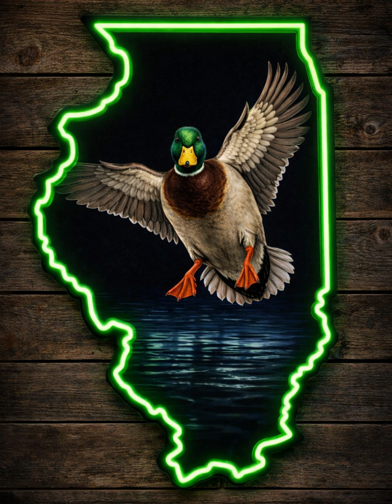 Load image into Gallery viewer, State Shaped Duck LED Sign
