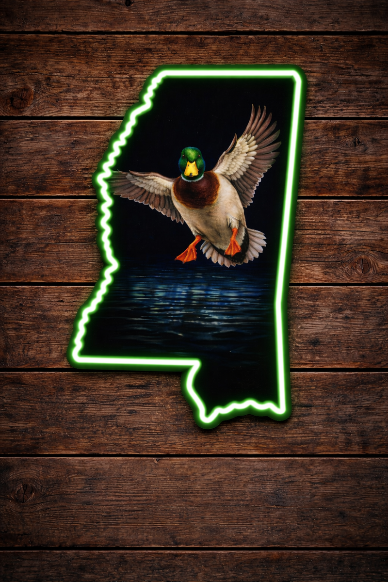 Load image into Gallery viewer, State Shaped Duck LED Sign
